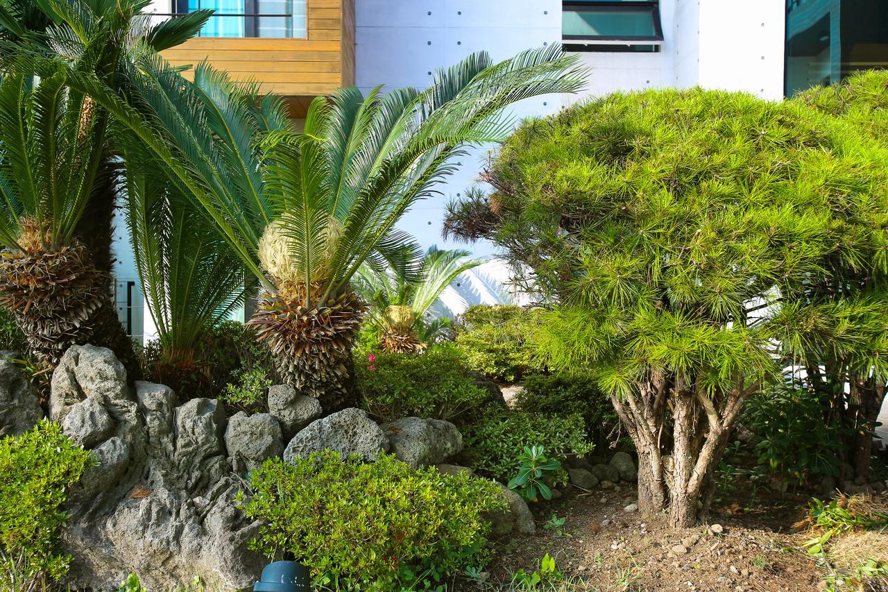 Seogwipo Port Avenue Hostel Exterior photo
